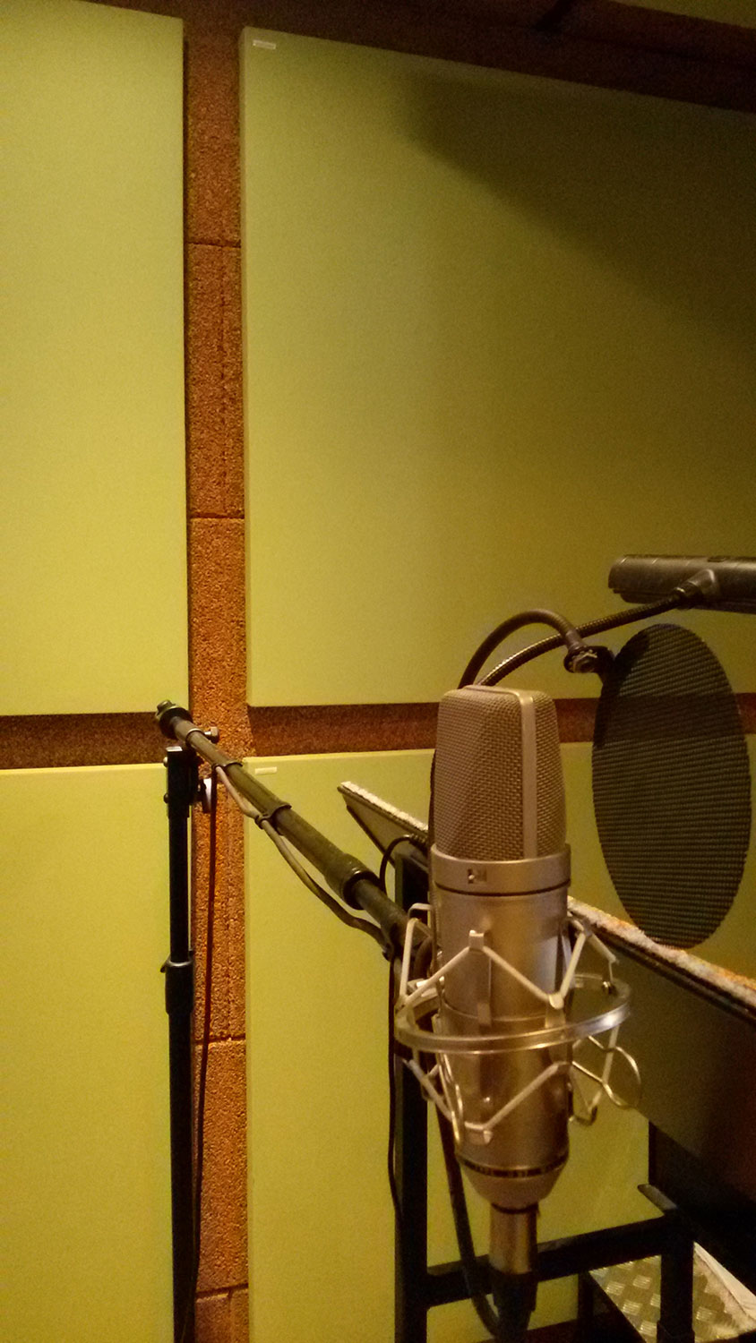 Pannelli fonoassorbenti