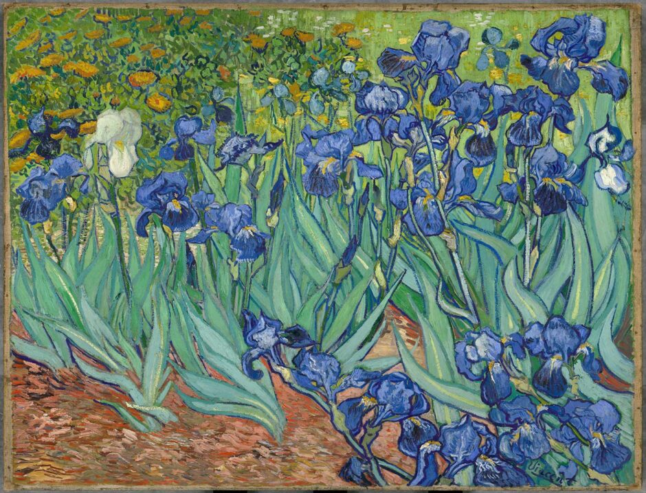 Vincent van Gogh - Iris